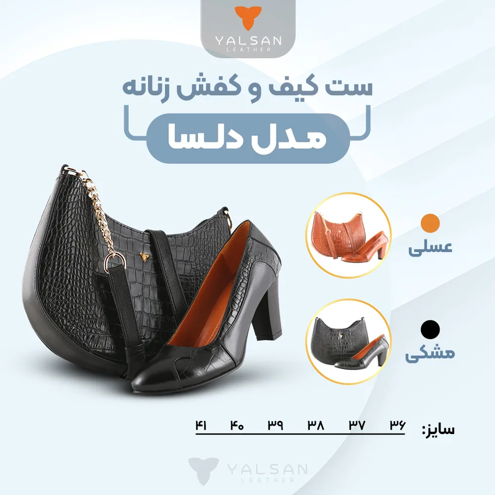 ست کیف و کفش زنانه مدل دلسا کد 904-ANA-GC چرم یلسان — تصویر ۴