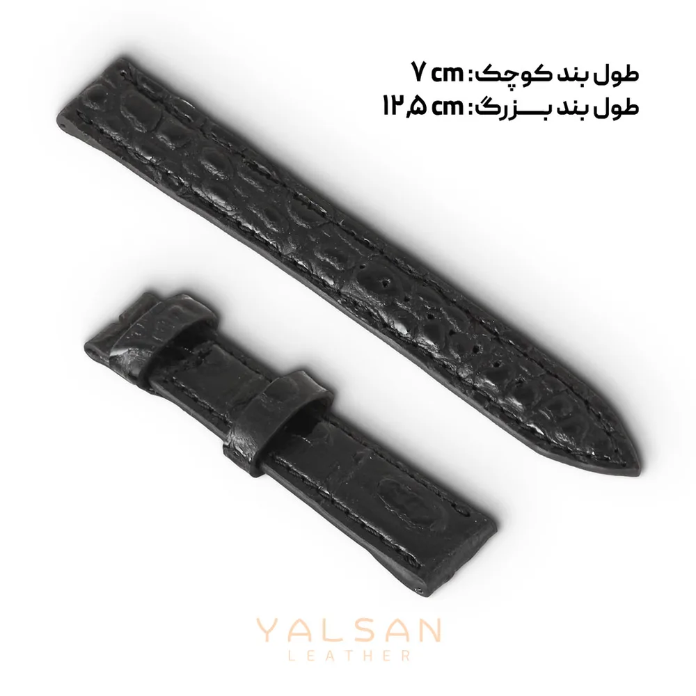بند ساعت مدل اسپریت کد 076-GAN چرم یلسان — تصویر ۲